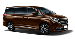 GAC GN8 Коричневый Mocha Brown