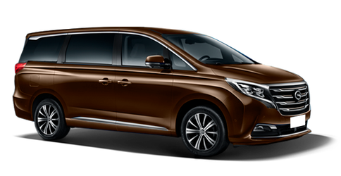 GAC GN8 Коричневый Mocha Brown